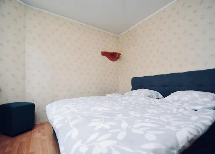 Spacious With Balcony Apartament Tallin